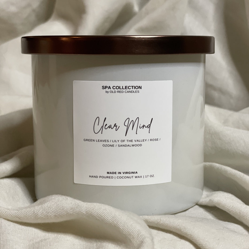 17 oz candle